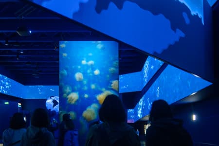 Spanish Pavilion Expo Osaka 2025